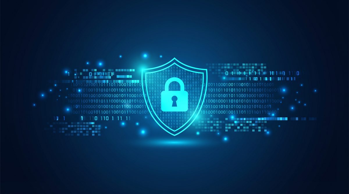 苗斐加速器隐私安全保护